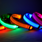 LED Dog Luminous Collar