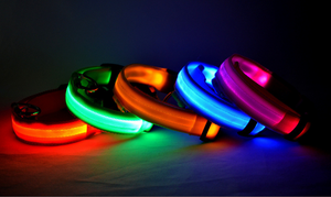 LED Dog Luminous Collar